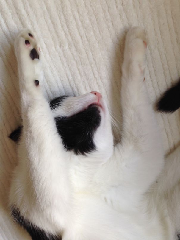 Shot Playing Cowboys And Indians!