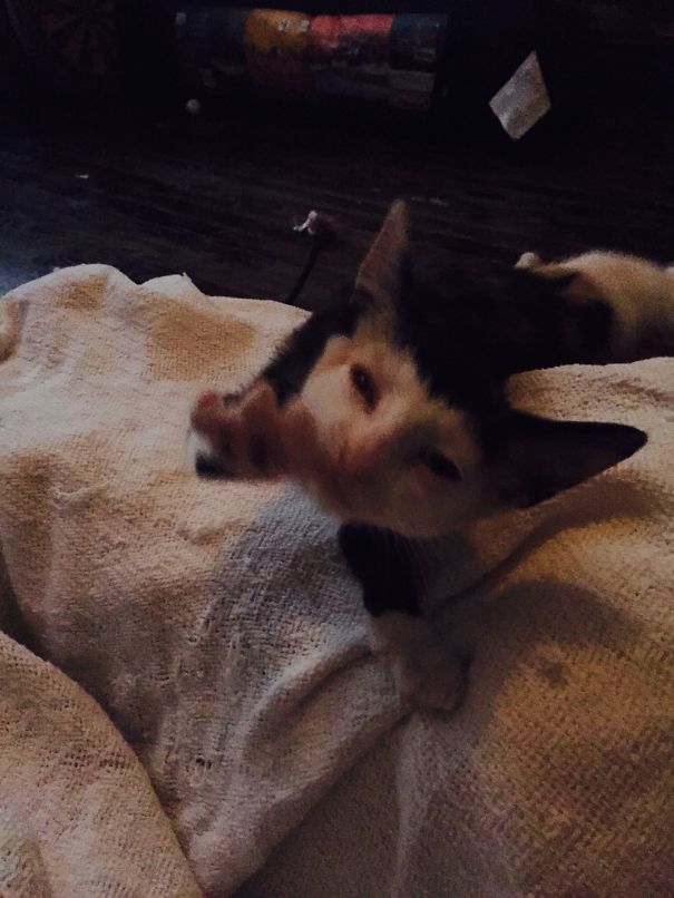 So Close! Just A Little Bit Further.....