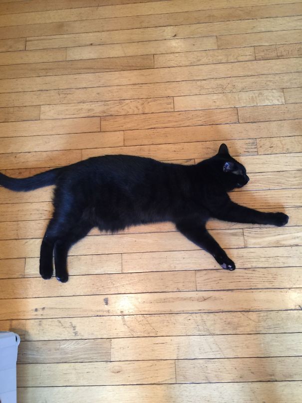 Can't Possibly Move Another Inch Today...