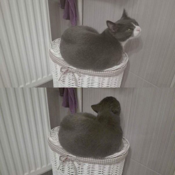 I'm Not Talking To You!