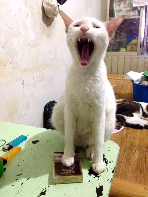 No, No More Smoking!