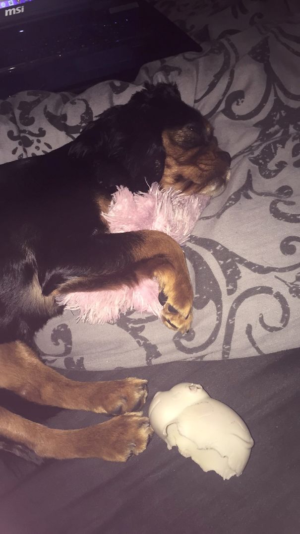 Loves Her Little Rag 😂