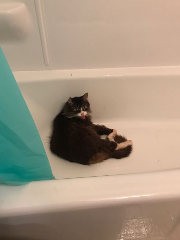 I Interrupted Her Relaxation Time With Pictures.... This Is What She Gives Me.