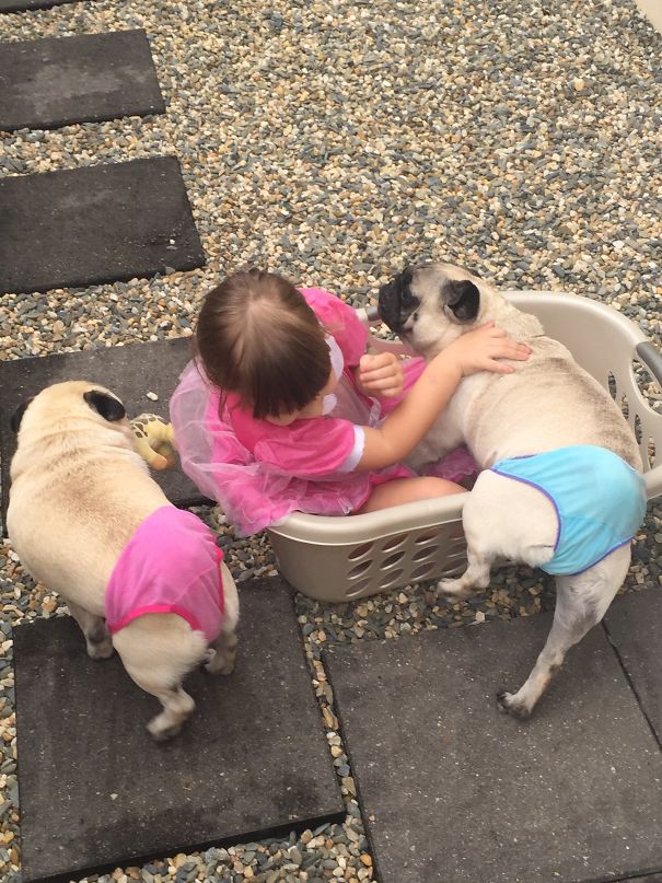 That's Where The Last Of The Laundry Went..