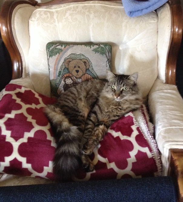 "yes, I Know I'm Fabulous."