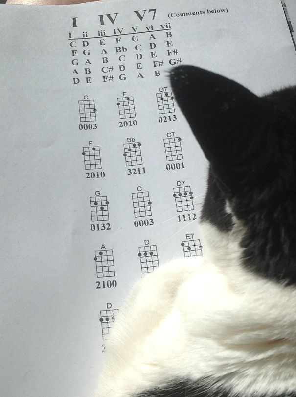 Here We Go Again....uke Practice!