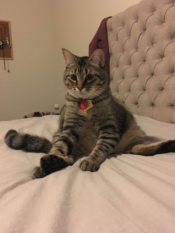 He Acts Like His Life Is So Difficult. So Dramatic