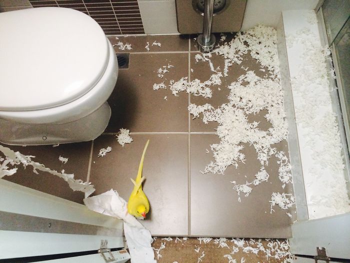 Strand By Strand My Bathmat Died