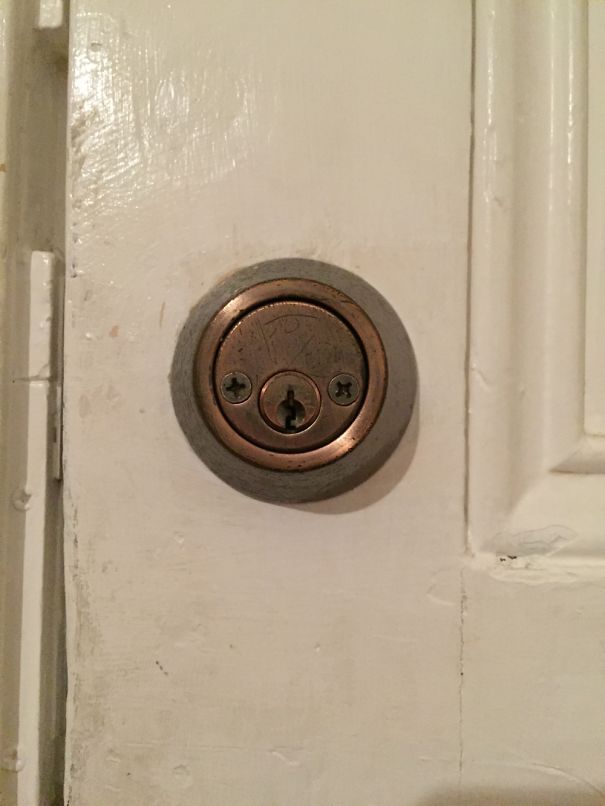 Looks Like A Teddy Bear With No Ears