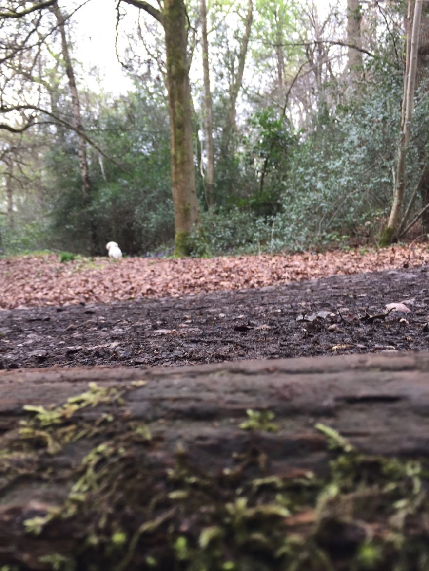 Amateur Photographer