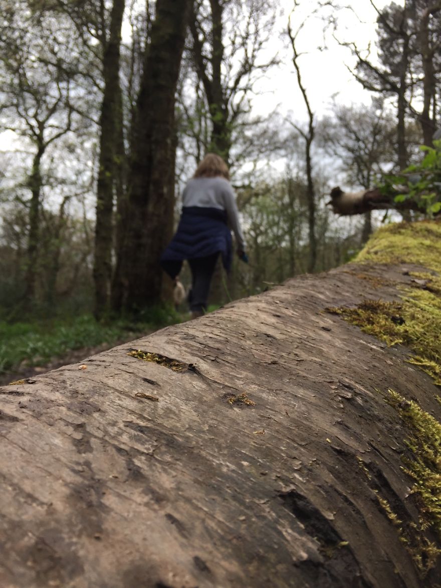 Amateur Photographer