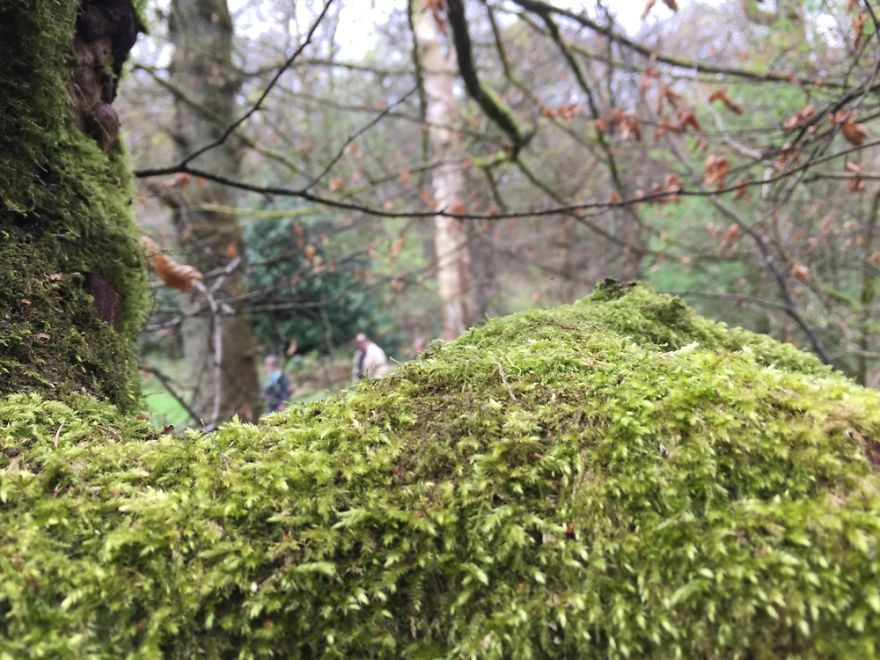 Amateur Photographer