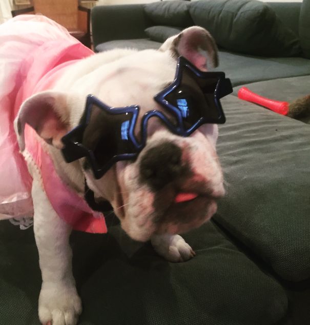 Tater Tot Is Such A Good Sport!