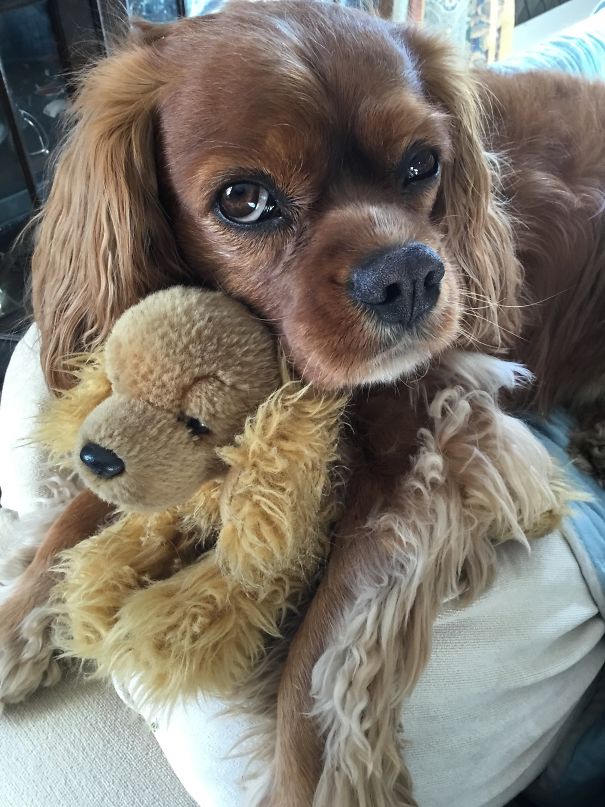 Mr Frodo And His Little Doggy Friend.