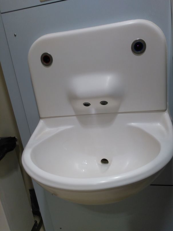 This Inquisitive Fella Watched Me On The Toilet....