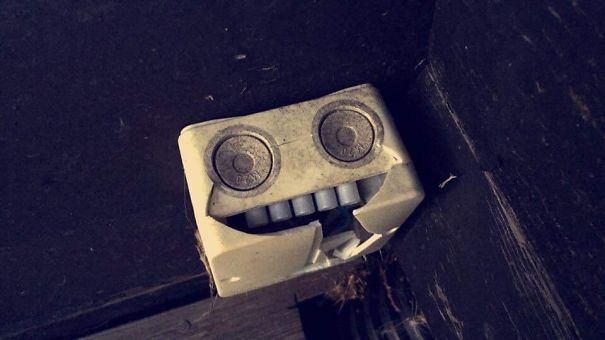 Found This Happy Dude At A Mini Golf Park. His Jaw Is Broken, But He's Still Smiling.