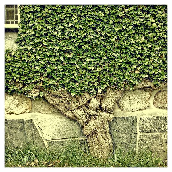 Found This On The Wall Of A Church. Looks Like A Person Is Holding Up All The Branches.