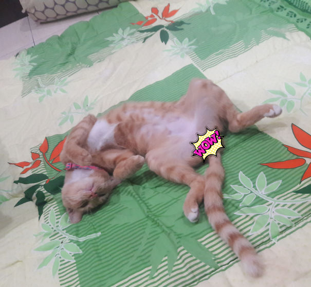 When You Promise Food But Did Not Deliver