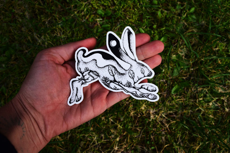 Jackrabbit