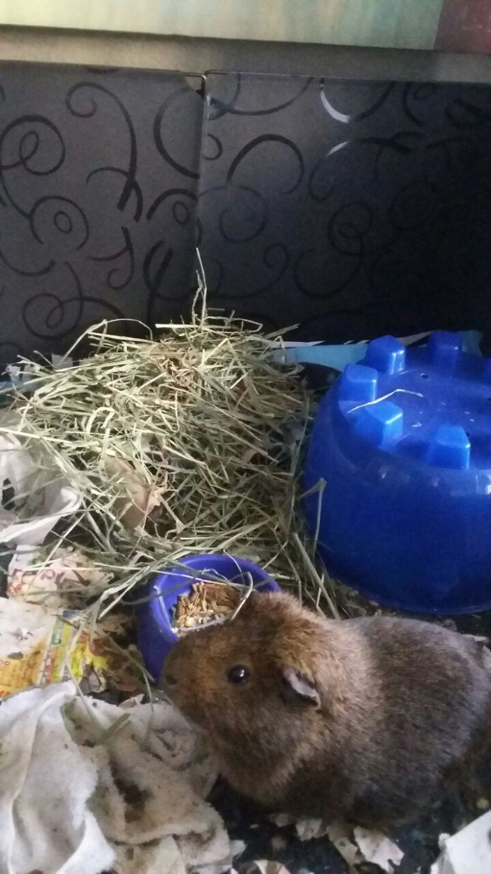 He Did Some Redecorating