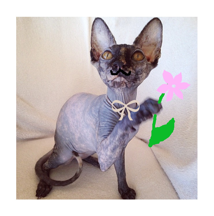 Ready For A Classy Date