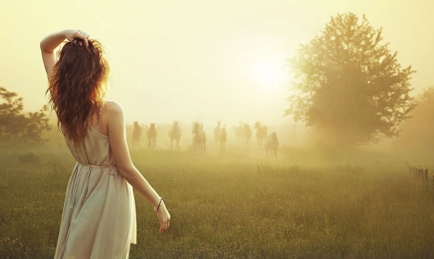 Where The Wild Horses Run