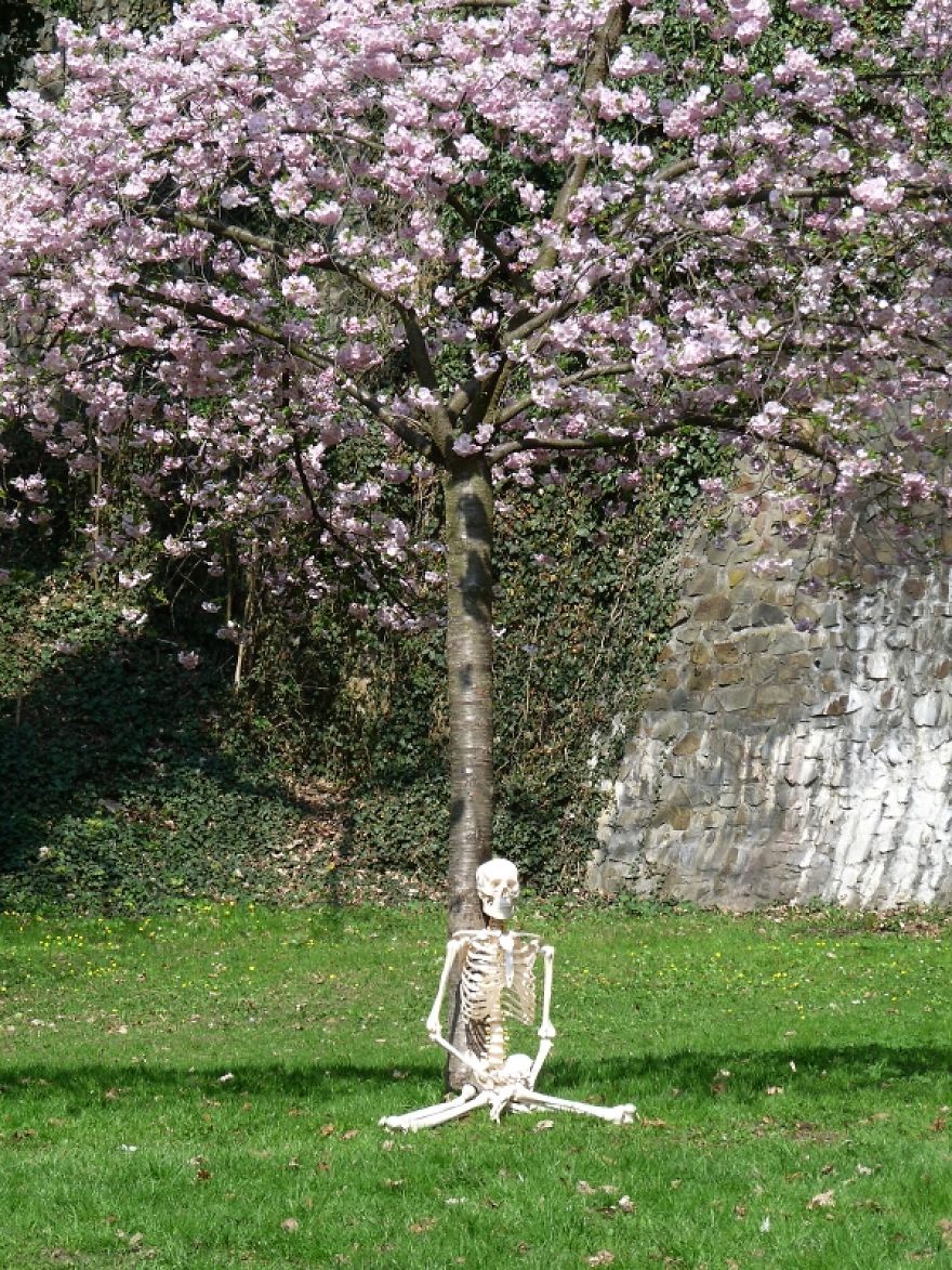 The Tree Meditation 2