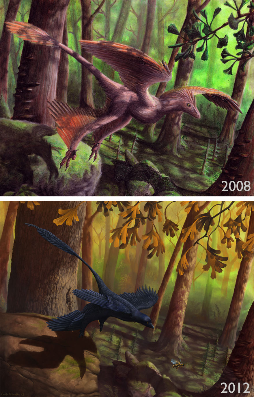 Feathered Dinosaur 'microraptor Gui' By Emily Willoughby