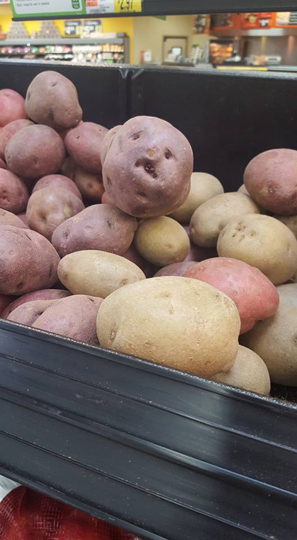 Miserable Potato Is Miserable