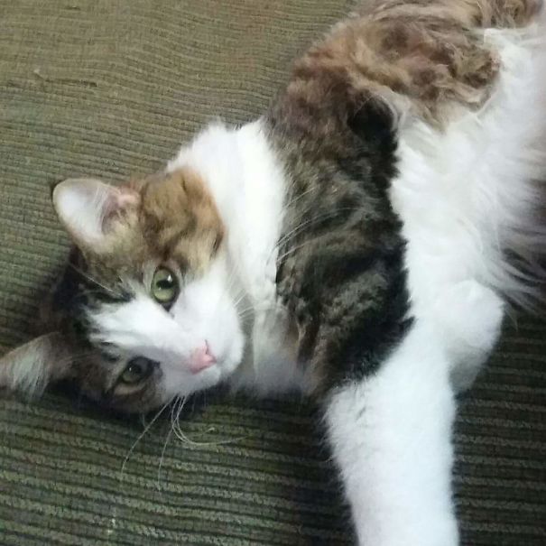 When I Tell Her I Have To Go To Work