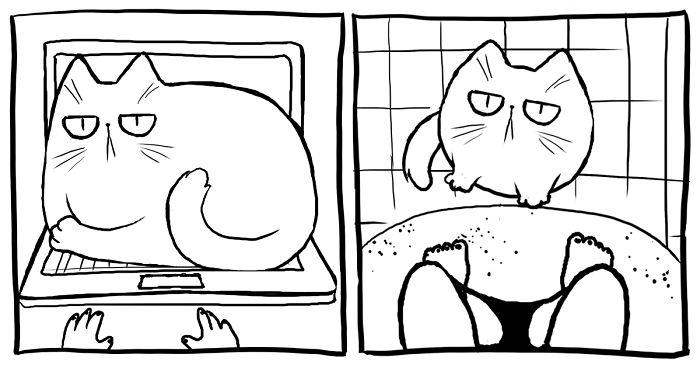 My Diary Comics About My Life With Two Cheeky Cats
