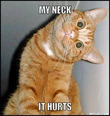 my-neck-hurts-58e692293b1ae.jpg