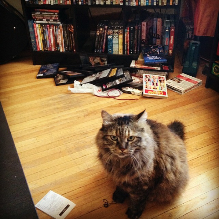 What Happens While I'm At Work