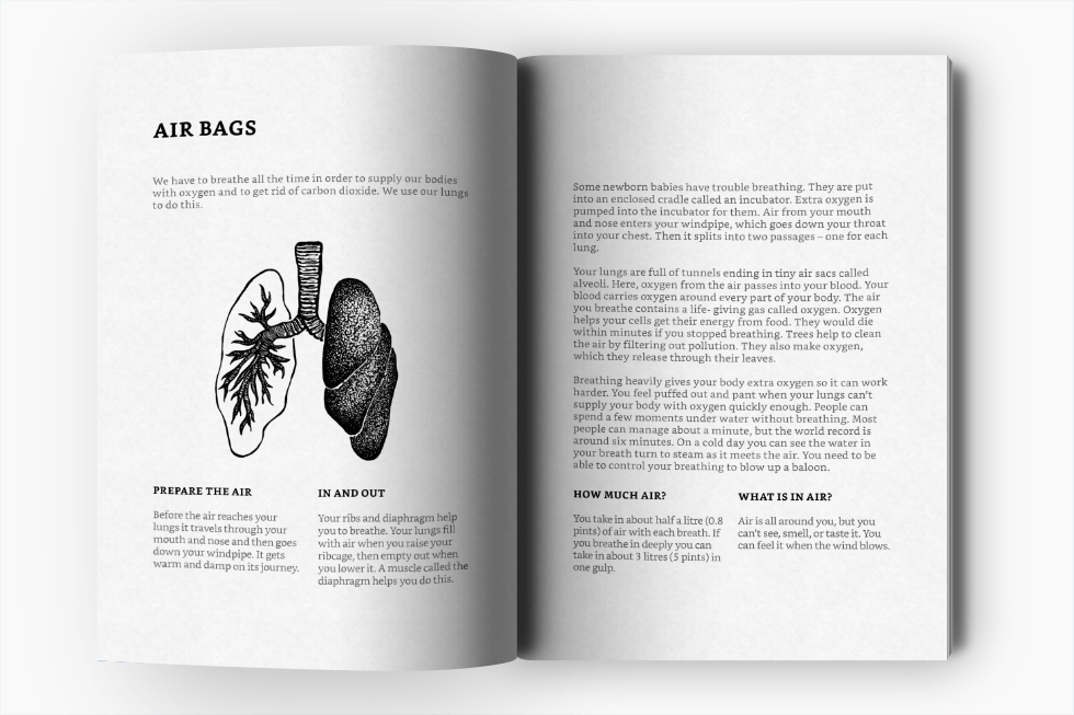 We Created This Animated Anatomy Textbook