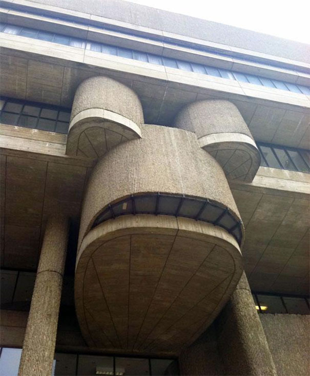 King Toad Demands Your Obedience