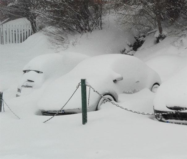 Cars covered in snow creating funny pareidolia faces with eyes and mouths formed by snow shapes and shadows.