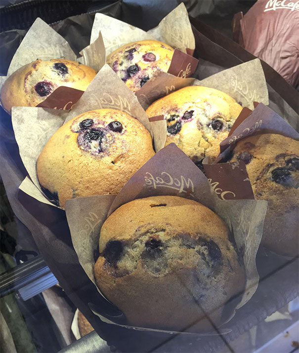 This Sloth Is A Bully - Don't Take My Word For It, Ask The Petrified Pug Behind Him