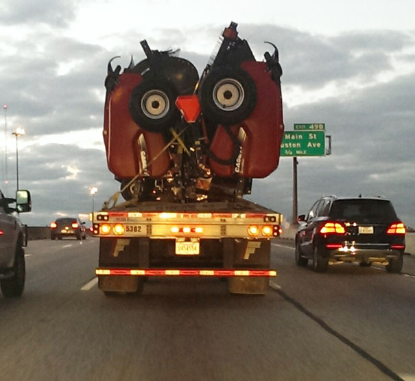 Spotted This Owl On My Way To Work This Morning