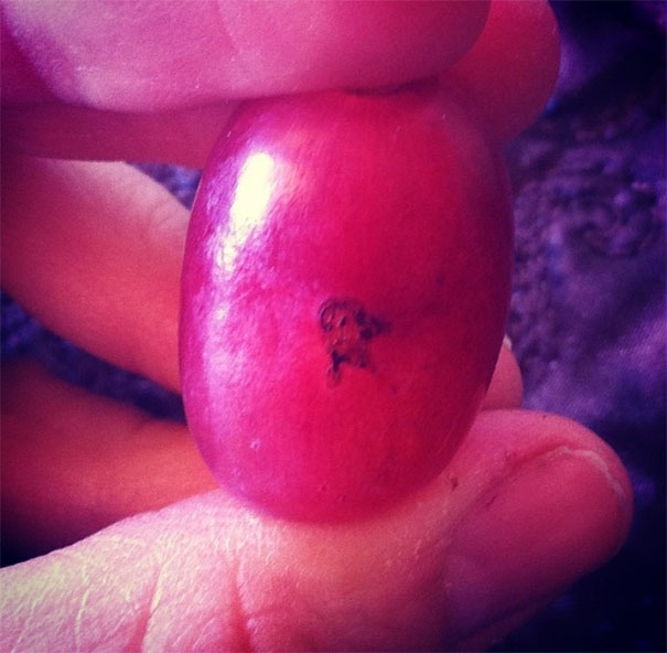 My Grape Has Jesus On It