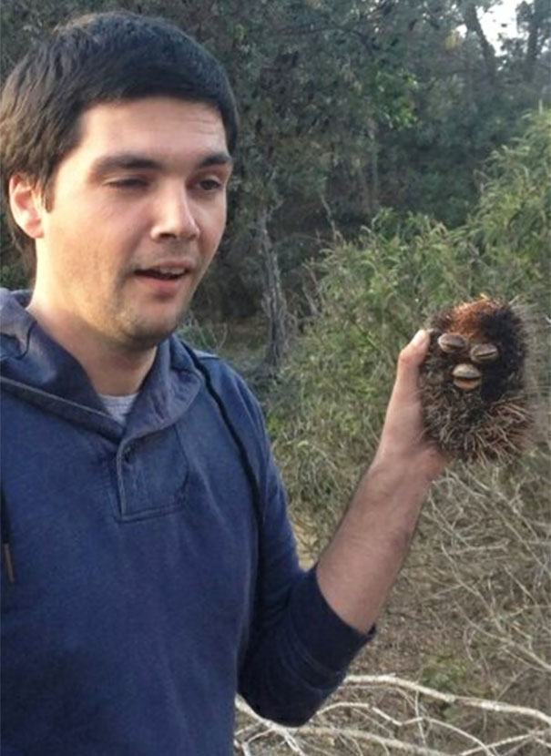 This Seed Pod I Found That Looks Like A Gimp Furby