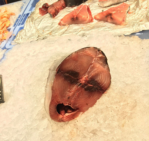 Fish Friday The 13th