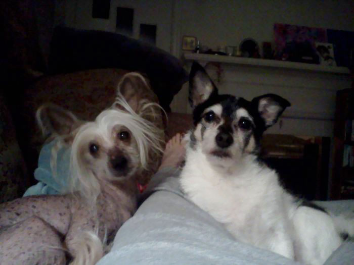 My Favorite Picture Of My Two Kids