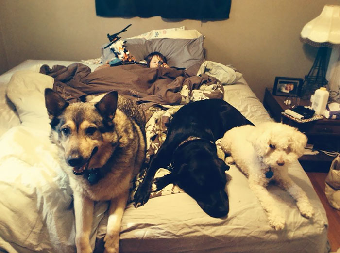 My Two Year Old Has A Broken Leg And An Army Of Dogs To Watch Over Him