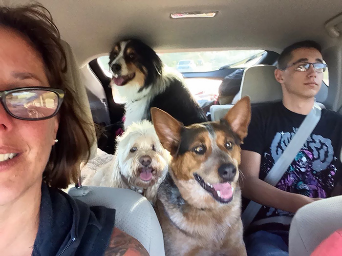 This Is How We Travel