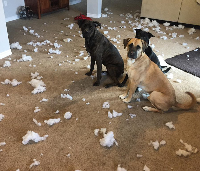 This Is Why We Can't Have Nice Things