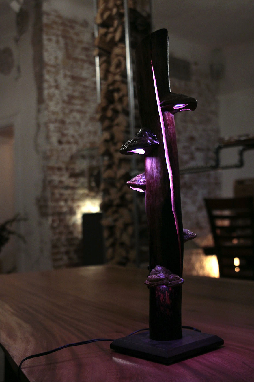 Mushrooms & Light = Awesome!