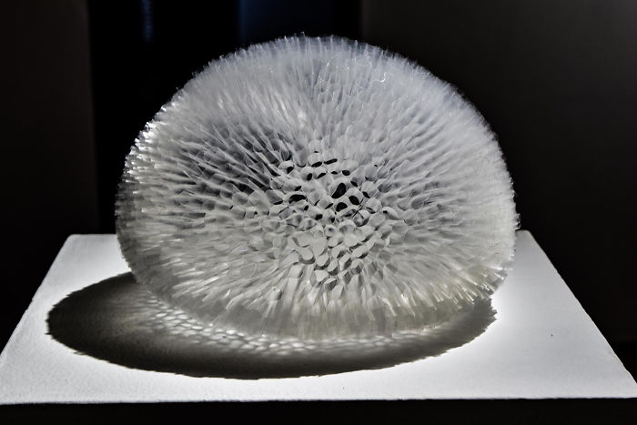 Common Objects Transformed Into Works Of Art