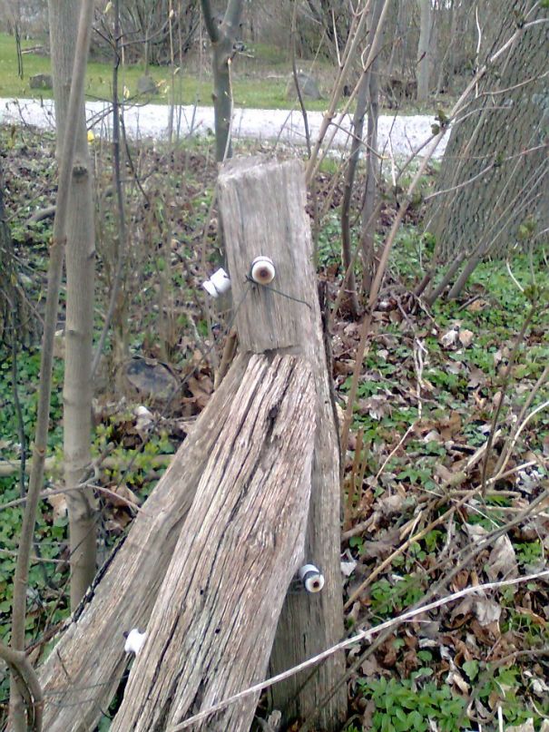 Puking Fence Post