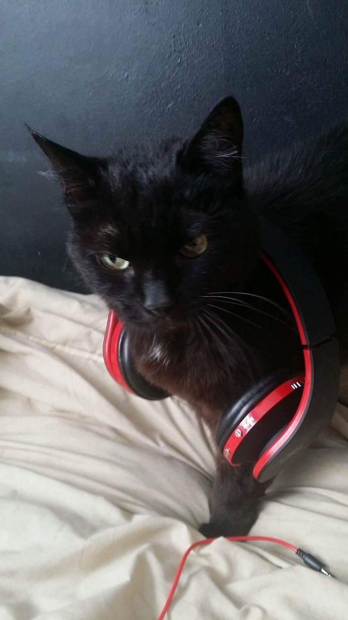 All About That Base...