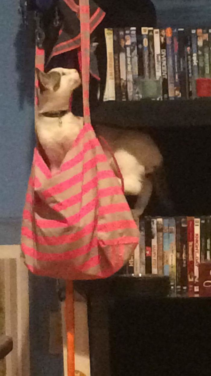 I Am Getting Up There Even If You Dont Want Me Too. You Cant Stop Me All The Time!